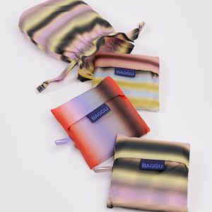 Standard Baggu Set of 3 - Gradient Stripes